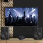 Lynepauaio Audio Switcher 2 In 1 Out / A/b Switch Stereo Ftra. Fixed Price $31.45.